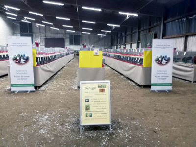 Ausstellungshalle