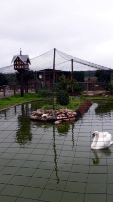 geflgelpark